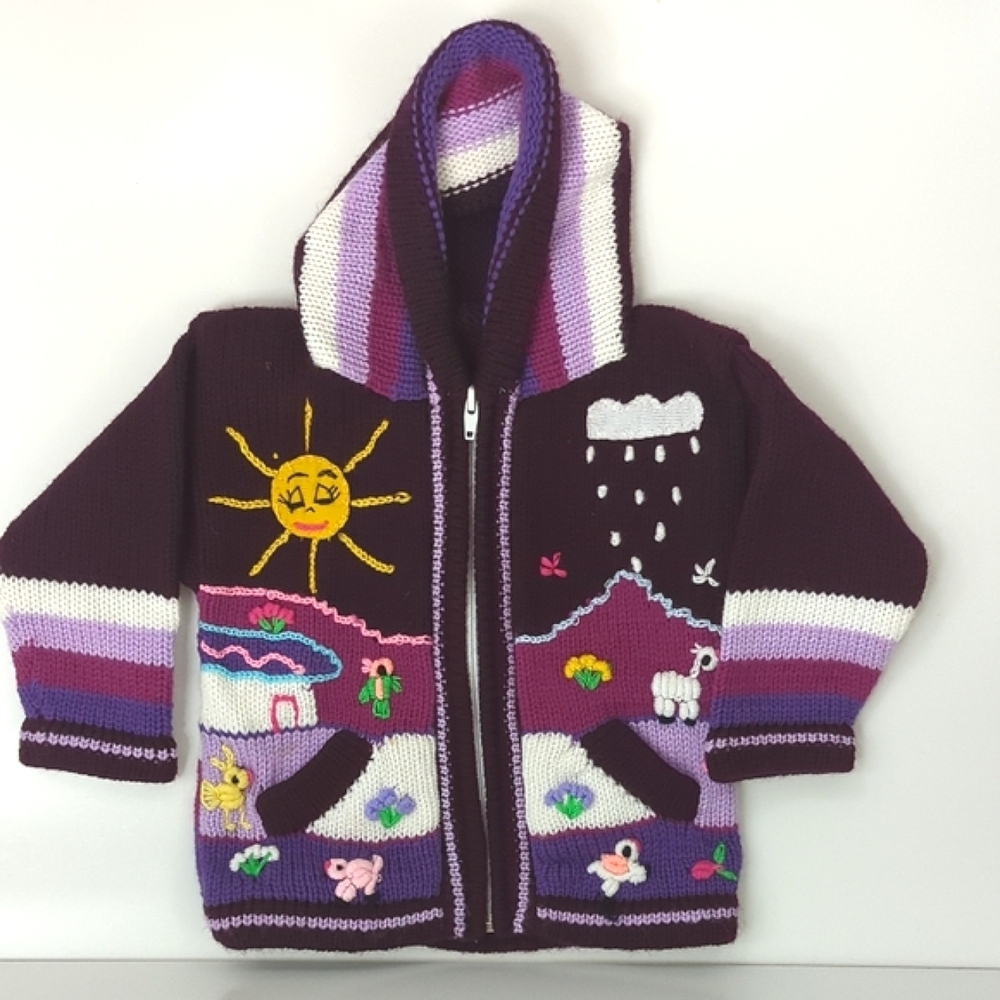 Peruvian Wool Knitted Purple Hoodie with Colorful Embroidery
